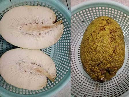 Cô gái khóc vì bị