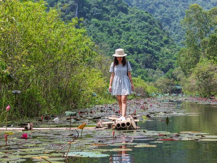 Không cần đi đâu xa, ngay ở Hà Nội cũng có một chốn ngập hoa súng, cảnh đẹp như phim cổ trang