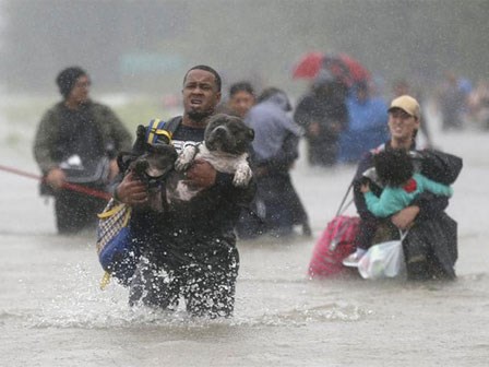 Thay vì bỏ của chạy lấy người khi bão đến, người Mỹ đã chọn