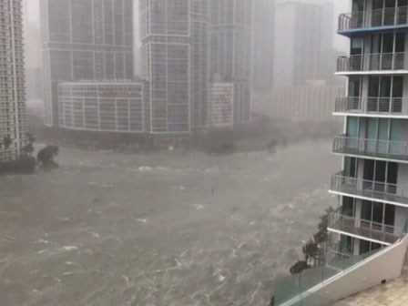 Video: Florida 