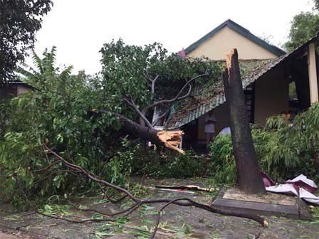 Diễn biến bão số 10: Nghệ An nước biển dâng cao bất thường, dân lo nhà cửa bị cuốn trôi