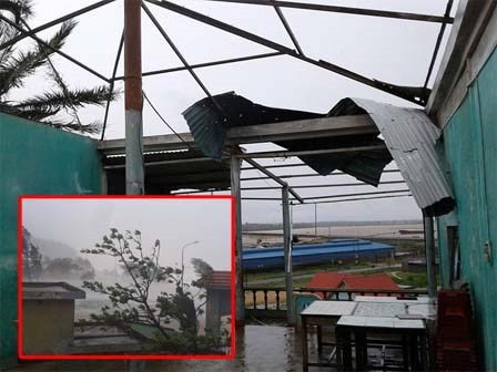 Bão quần thảo dồn dập, tơi tả Hà Tĩnh