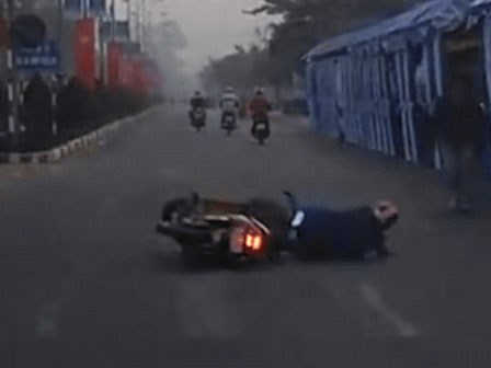 Chó cưng và những tai nạn oái oăm trên đường phố