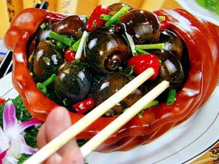Chuyên gia TQ cảnh báo: Mối hiểm hoạ khôn lường nếu bạn ăn nhầm phải loại ốc này