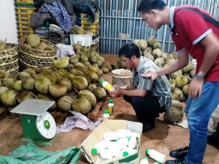 Loại quả khó ngửi với nhiều người nhưng có tác dụng chữa bệnh tuyệt diệu không thể ngờ-3