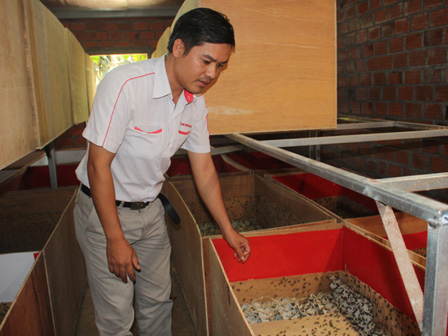 GenZ kiếm gần 1 tỉ/tháng nhờ nuôi loài gắn với tuổi thơ” của ông bà cha mẹ-4