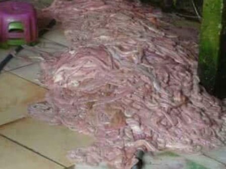 Kinh hoàng quy trình chế biến lòng lợn siêu bẩn