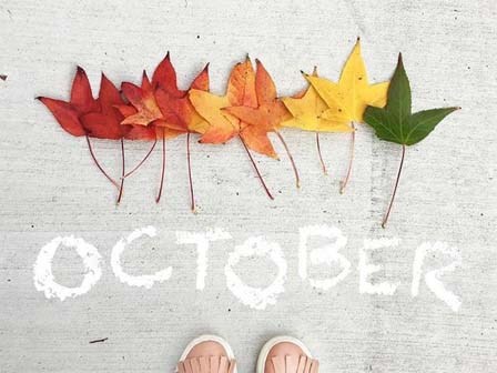 Lời nhắc nhở cho 12 con giáp trong tháng 10