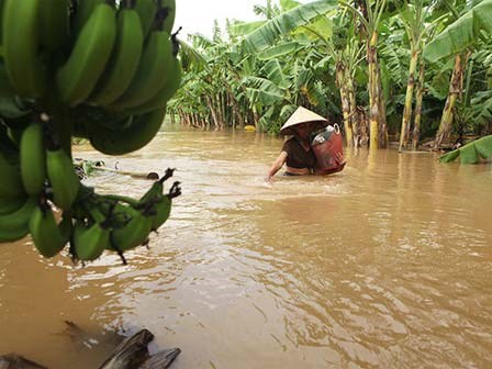 Các bệnh thường gặp sau lũ lụt