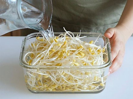 Chẳng ai ngờ cách đơn giản này lại giúp giá đỗ tươi ngon đến cả tuần