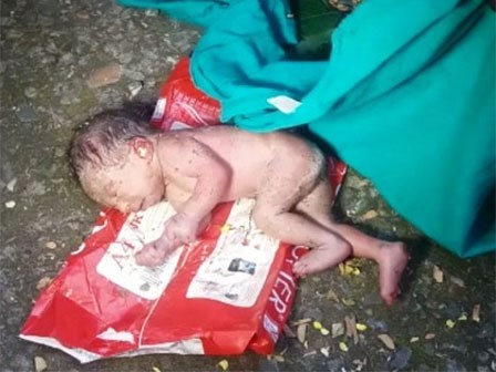 Chỉ vì là con gái, em bé sơ sinh bị cha mẹ vứt vào thùng rác, khi phát hiện thấy kiến bu đầy người