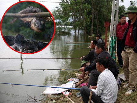 Mặc nước ngập trắng, người dân Chương Mỹ vẫn vui vẻ buông cần kiếm bộn cá, nướng