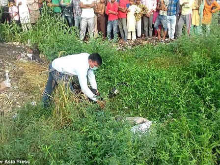 Liên tục sinh 4 'vịt trời', cặp đôi tàn nhẫn sát hại bé gái hàng xóm để hiến tế thần linh xin 'quý tử'