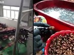 Clip người đàn ông trần truồng lội trong bể kim chi khiến dân Hàn phát khiếp, đòi tẩy chay đồ ăn Trung Quốc-3