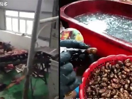 Rất nhiều thực phẩm mà chúng ta ăn hàng ngày được 