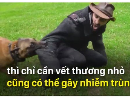 Tử vong vì 1 vết cắn hoàn toàn có thể xảy ra!