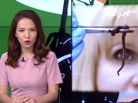 Dùng giun đất chữa ung thư phổi