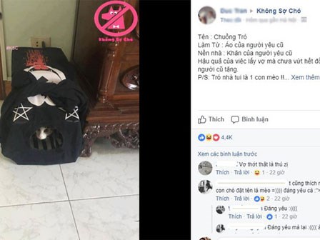 Nam thanh niên lấy hết áo đôi với người yêu cũ làm chuồng chó mèo gây tranh cãi
