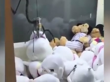 Sự thật về chiếc máy gắp thú bông 