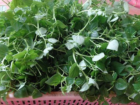 Rau càng cua đắt hơn thịt, nhiều nước xem là 