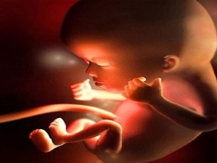 Bỏ ngoài tai lời khuyên bác sĩ, sản phụ khóc ngất khi thai nhi chết lưu ở tuần 37