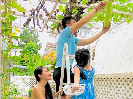 Khu vườn tuyệt đẹp toàn rau xanh trong biệt thự triệu đô của Thủy Tiên - Công Vinh