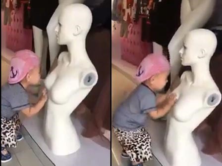 Ma nơ canh cũng có thể trở thành... bầu sữa mẹ