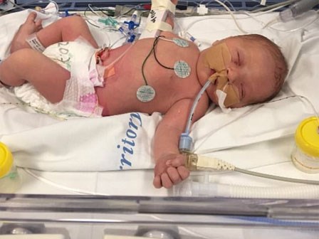 Con tử vong sau 3 ngày chào đời vì mẹ nhiễm một loại vi khuẩn phổ biến lúc mang bầu