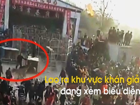 Cận cảnh hổ xổng chuồng tấn công trẻ em