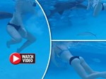 Đi bơi tại vùng biển có cảnh báo nguy hiểm, thanh niên Brazil bị cá mập cắn đứt của quý-3
