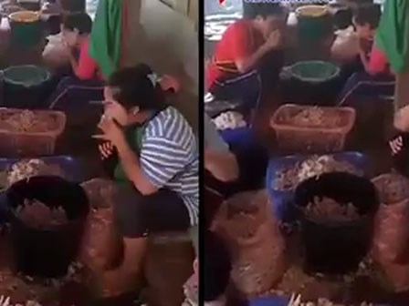 Sốc: Sự thật về chân gà rút xương