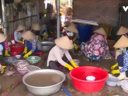 Cận cảnh quy trình tẩm ướp cá khô bằng... thuốc tẩy giun