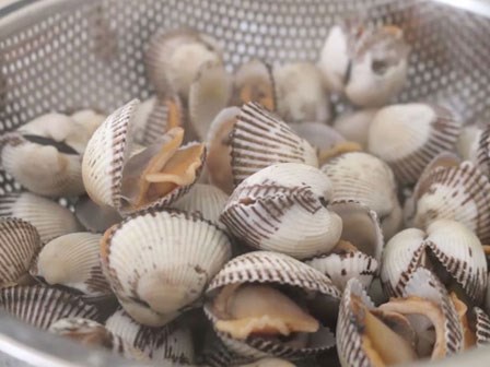 Không cần phải ngâm cả đêm, với cách này nghêu, sò sẽ nhả hết cát chỉ sau 2 giờ
