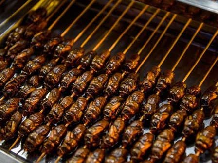 7 đặc sản Việt ngon nức tiếng nhưng 'càng ăn càng độc'