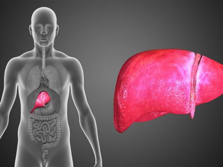 Ung thư gan phát triển trong lặng lẽ, khi có dấu hiệu này là gan đang 'kêu cứu'