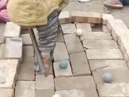 Đây chính là các em bé sáng tạo nhất hệ mặt trời