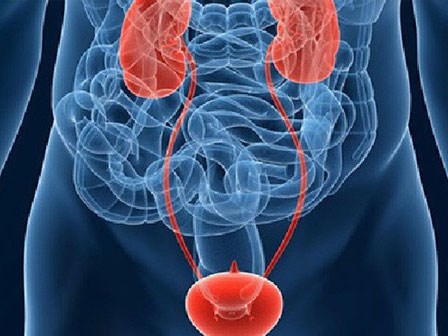 Khi đi tiểu thấy dấu hiệu bất thường này có thể là tín hiệu ung thư