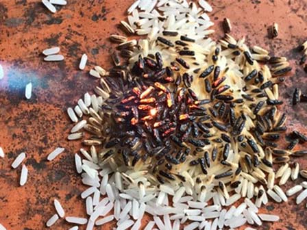 Gạo nhựa đốt cháy khét lẹt: Xôn xao, lan truyền nỗi sợ-6