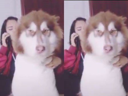 Khổ với những cô nàng giận cá chém thớt