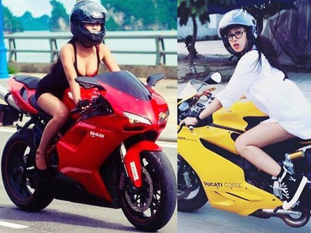 Sức hút của bóng hồng thuần phục