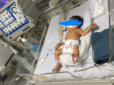 Chàng sinh viên 2 năm nhặt hơn 3.000 xác hài nhi: Có người nghĩ chúng tôi buôn ma túy-3