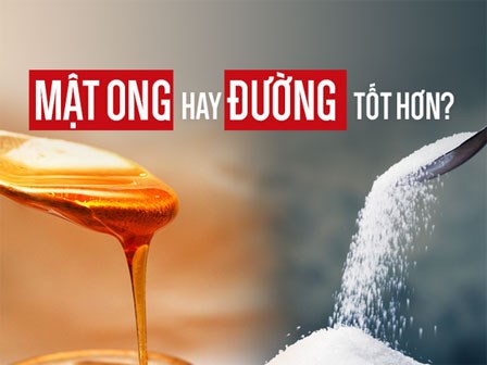 Mật ong có tốt hơn đường như nhiều người vẫn nghĩ? Câu trả lời có thể khiến bạn bất ngờ