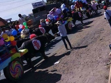 Đám cưới HOT nhất đầu năm 2018: Chú rể rước dâu bằng 14 con trâu