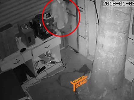 Clip: Đạo chích khoét vách tường, chui vào nhà trộm tài sản lúc sáng sớm