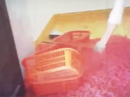 Hãi hùng món kẹo dẻo 'đắm chìm' trong phẩm màu và hóa chất cho trẻ nhỏ