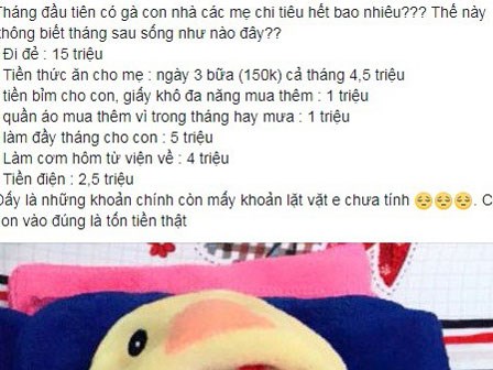 Mới sinh được 1 tháng, con bú mẹ hoàn toàn, mẹ bỉm sữa vẫn kêu trời vì chi tiêu hết veo 33 triệu