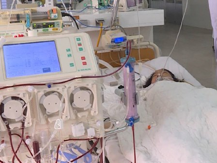 Thiếu nữ suy đa phủ tạng nghi do uống trà sữa