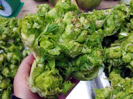 Rau dớn, bò khai, tầm bóp giá đắt cắt cổ đang cháy hàng ở Thủ đô-8