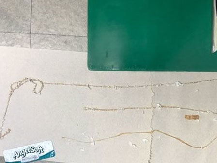 Nhà hàng Nhật Bản phục vụ sushi vẫn còn ngọ nguậy chơi đùa với thực khách làm dân mạng phát khiếp-3