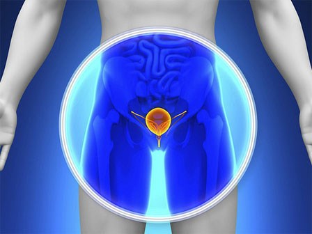 Nếu xuất hiện các dấu hiệu này khi đi tiểu, có thể cơ thể đang có 